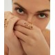 ALEYOLE PARANOIA GOLD RING SILVER 925 RG4401-16