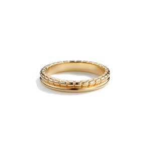ALEYOLE SYNTHESIS GOLD Δαχτυλίδι Επιχρυσωμένο Ασήμι 925 RG4481-14