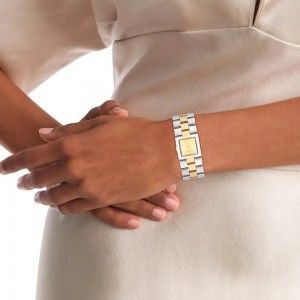 CALVIN KLEIN Ρολόι Meridian Δίχρωμο Ανοξείδωτο Ατσάλι μπρασελέ 25100115 CALVIN KLEIN Ρολόι Meridian Δίχρωμο Ανοξείδωτο Ατσάλι μπρασελέ 25100115