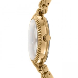 DKNY Essential Glitz Ρολόι Γυναικείο Χρυσό Ανοξείδωτο Μπρασελέ DK1L042M0105