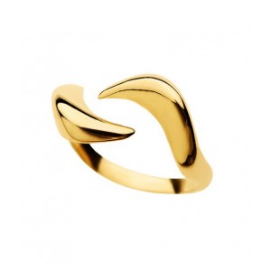 Cymata Ring - silver 001-002-0110-gold