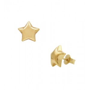 Σκουλαρίκια Καρφωτά Αστέρια Επίχρυσο Ασήμι 925 KSE013