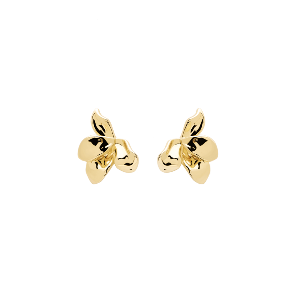 PDPAOLA NARCISE GOLD EARRINGS silver 925 AR01-191-U