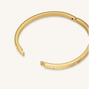 ROSEFIELD Crystal Bangle Βραχιόλι χειροπέδα Χρυσό Ανοξείδωτο Ατσάλι JBCBG-J1039