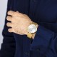 FESTINA Ρολόι Ανδρικό Επιχρυσωμένο Ανοξείδωτο Ατσάλι Μπρασελέ F20022/1